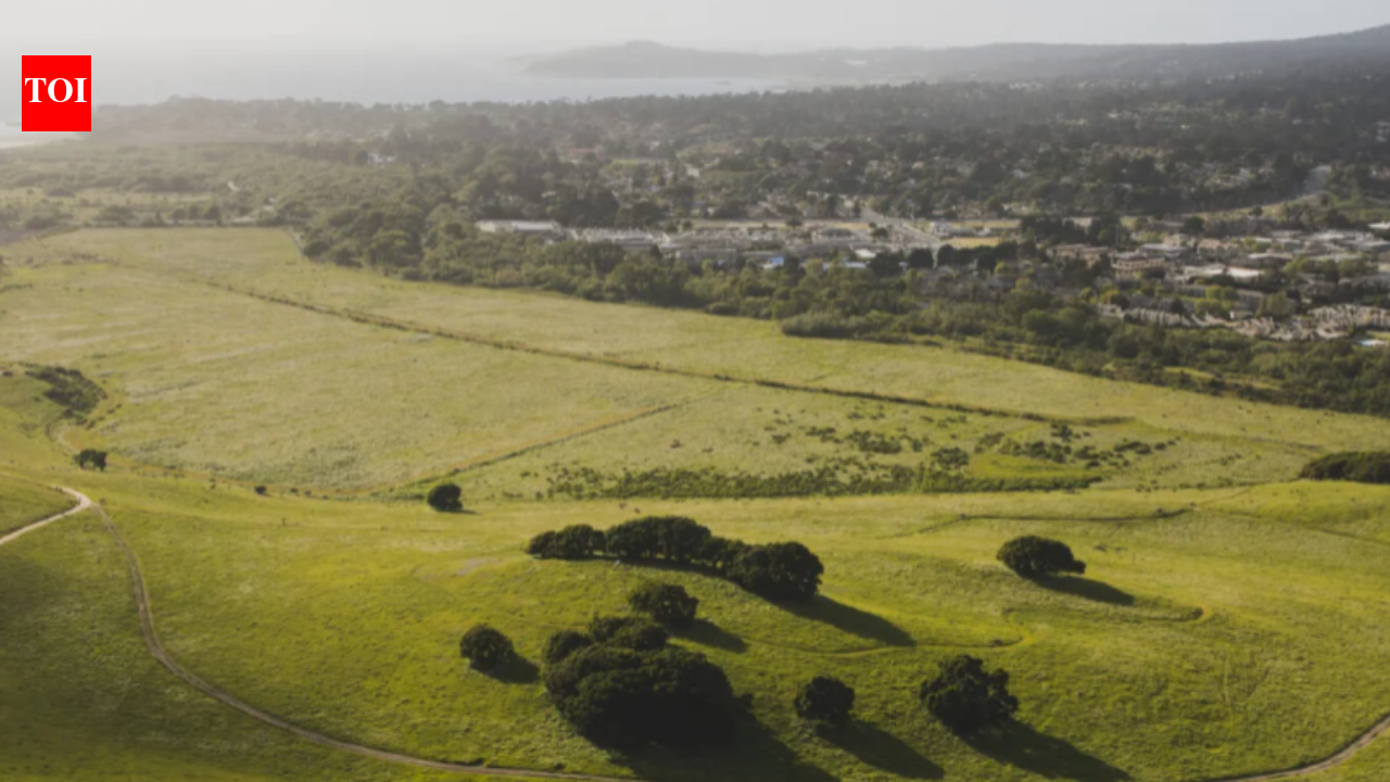 Carmel River Free Project: Eastwoods’ ranch anchors $57m restoration; homes face lower flood risks