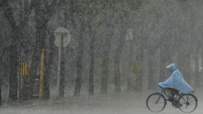Weather tomorrow: IMD forecasts heavy rain, thunderstorms across states; red alert in Jharkhand, orange alert in MP