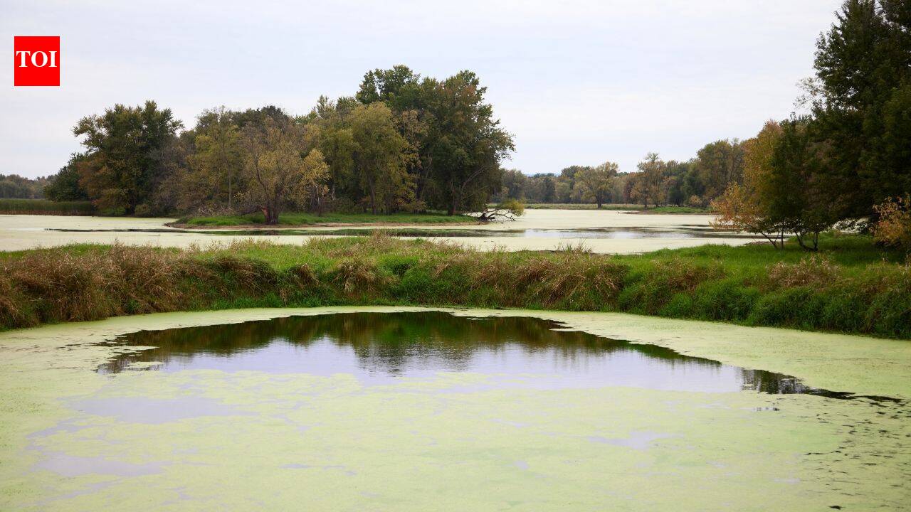 Wisconsin family’s 2,000 floodplain acres protected after decade-long fight