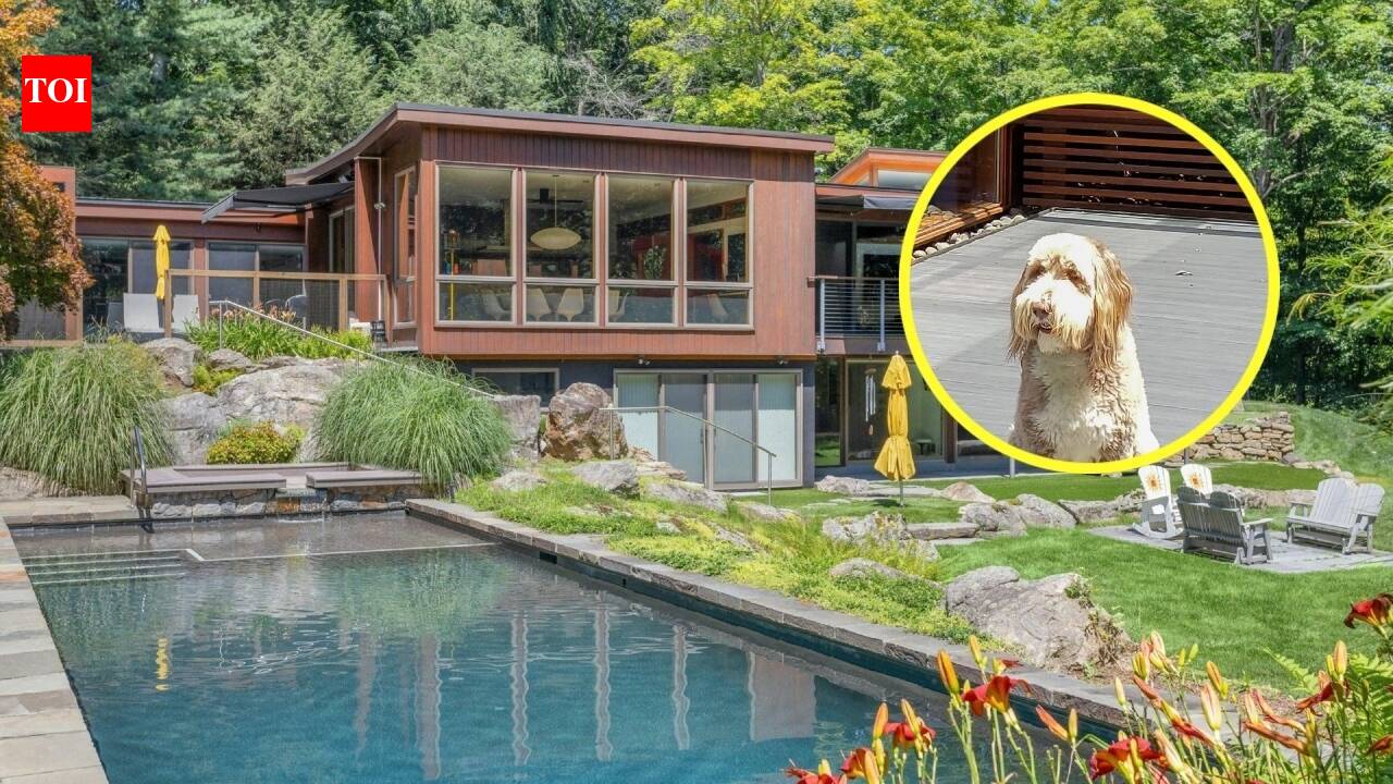 NY couple spend $3M on a home for their dog; now sell for $2.9M