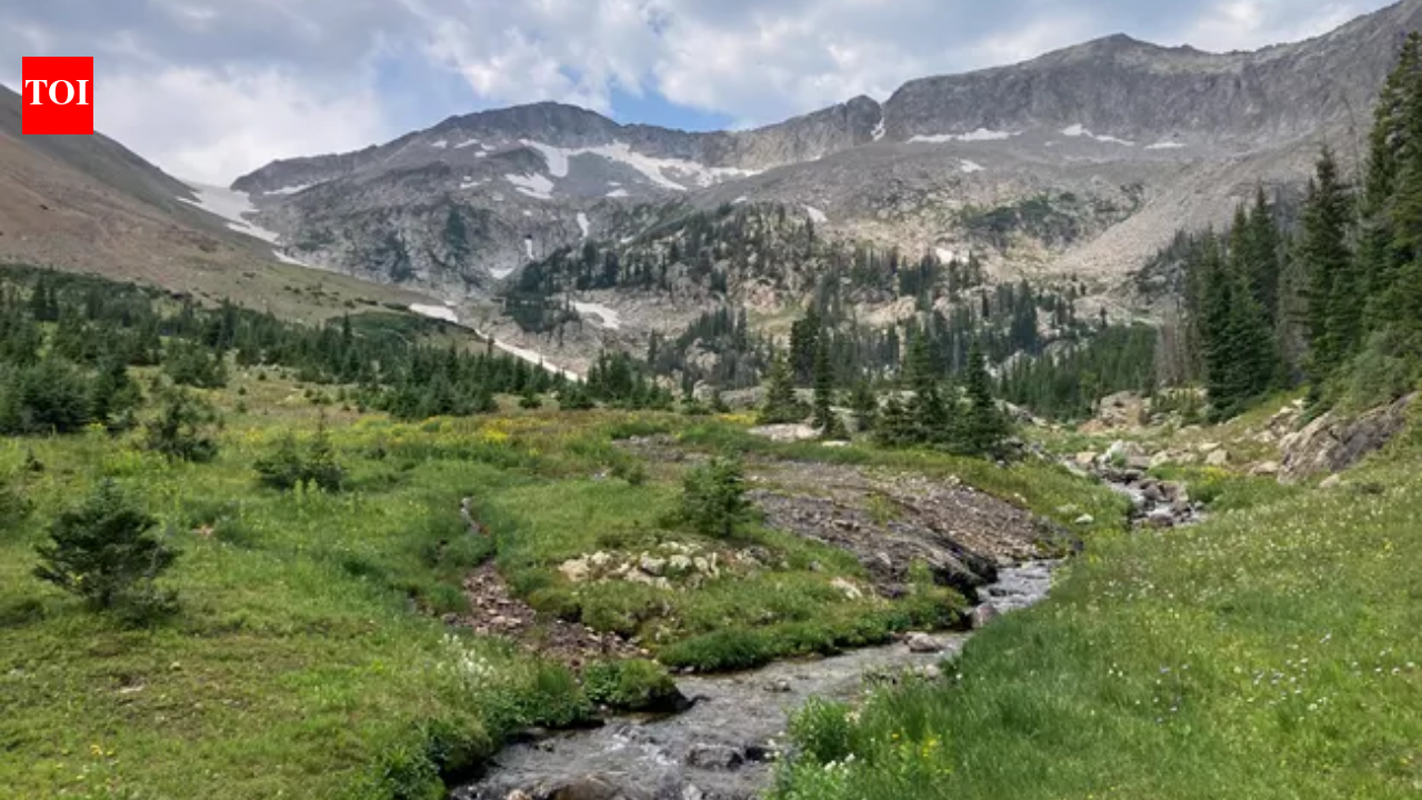 After 20M fish were stocked, 2026 crews treated 14.3 miles to restore threatened greenback trout