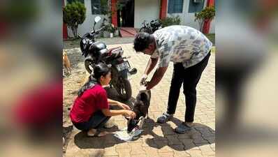 35 dog bites in a day, 102 in week put Dibrugarh on alert; fresh anti-rabies vax drive on