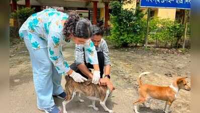 35 dog bites in a day, 102 in week put Dibrugarh on alert; fresh anti-rabies vax drive on