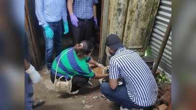 35 dog bites in a day, 102 in week put Dibrugarh on alert; fresh anti-rabies vax drive on