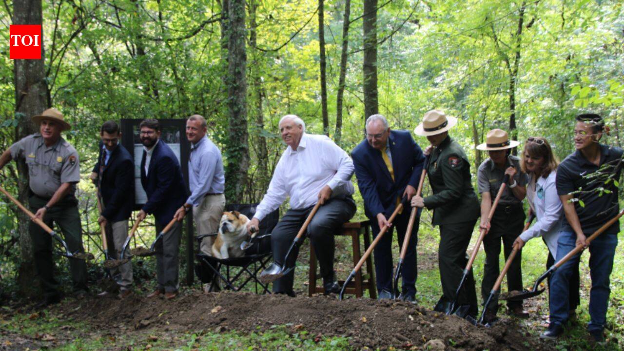 Built in 1906 to carry coal, five West Virginia railroad bridges to be restored for hikers