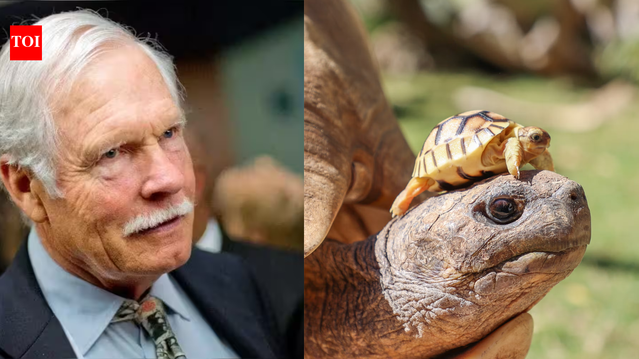 CNN founder Ted Turner’s ranch helped save a rare tortoise from extinction