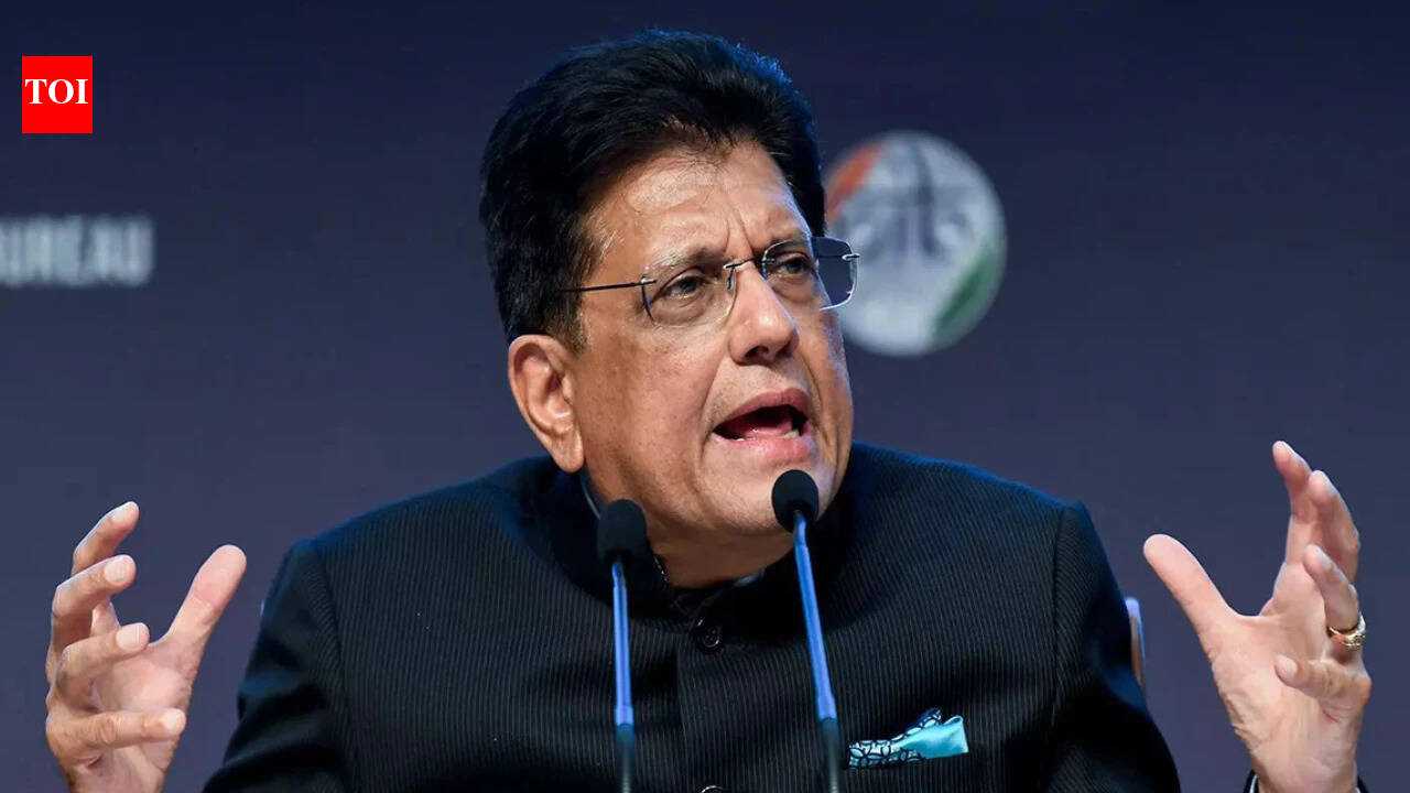 'Jobless people on TV': Goyal attacks oppn, ex-finance secy for doubting GDP growth