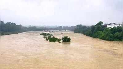 Jharkhand rivers swell after continuous rain, vigilance stepped up in low-lying areas