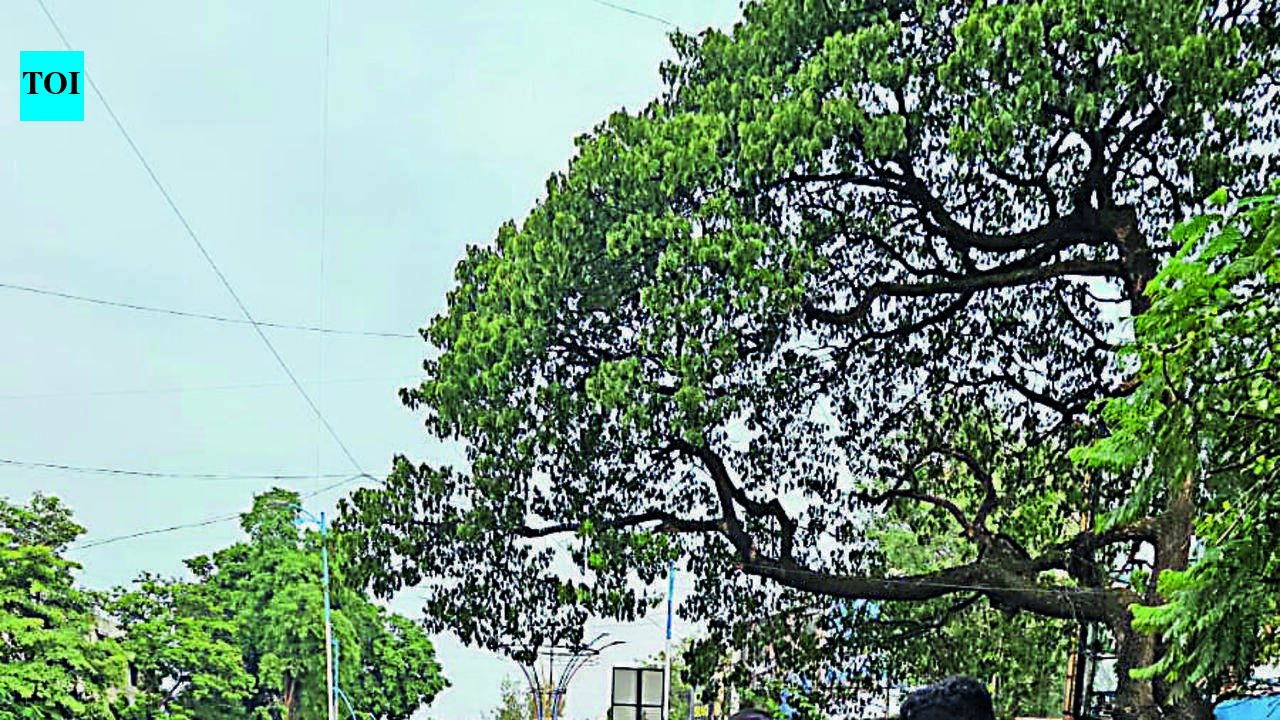 Pune city traffic police take to using PMC's pothole app for citizens, submit around 500 complaints to facilitate repairs