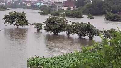 Flood alert in state as Ganga, Yamuna swell