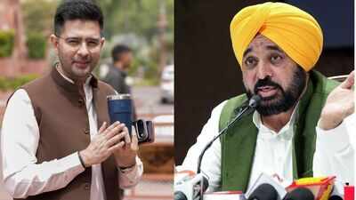 Raghav Chadha alleges name marked as ‘shifted’ in Punjab draft electoral roll: 'AAP burning with anger since I left’