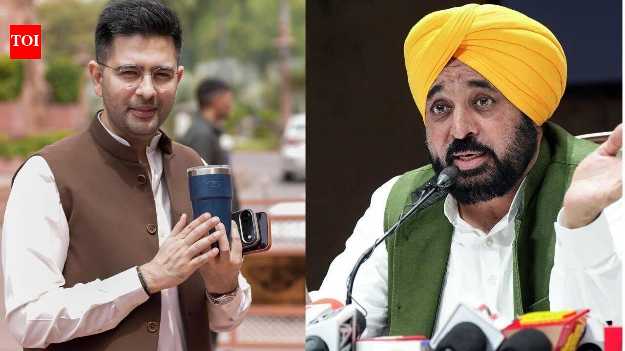‘AAP burning with anger’: Raghav Chadha's name 'shifted' from Punjab draft SIR