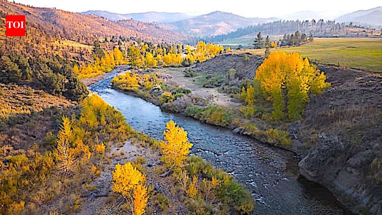 Ranch Shift Protects River: $8m deal secures 1,688-acre Park Ranch; wildlife corridor stays open