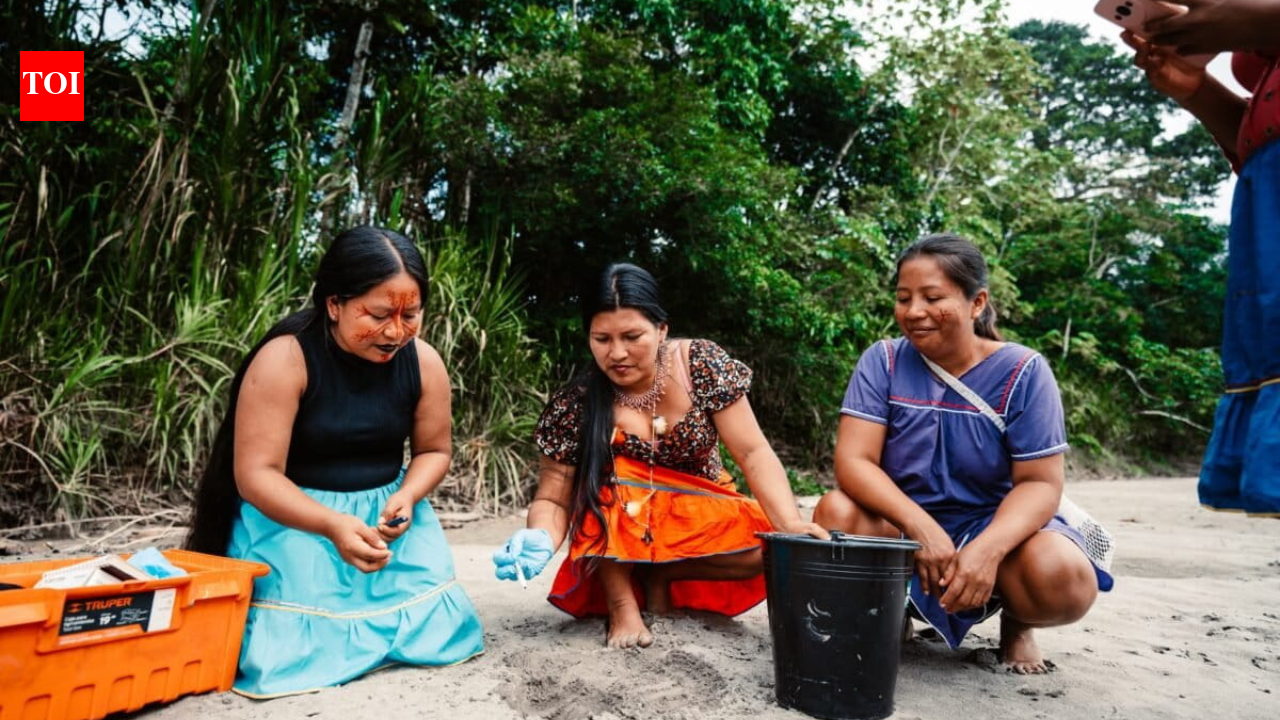 Meet the 'Turtle Women' of Amazon: 7 Indigenous women are bringing vulnerable river turtles back