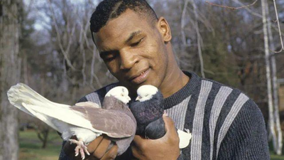 Mike Tyson started keeping pigeons as a bullied Brooklyn boy, finding love and comfort in them; decades later, he still has hundreds of birds across the US