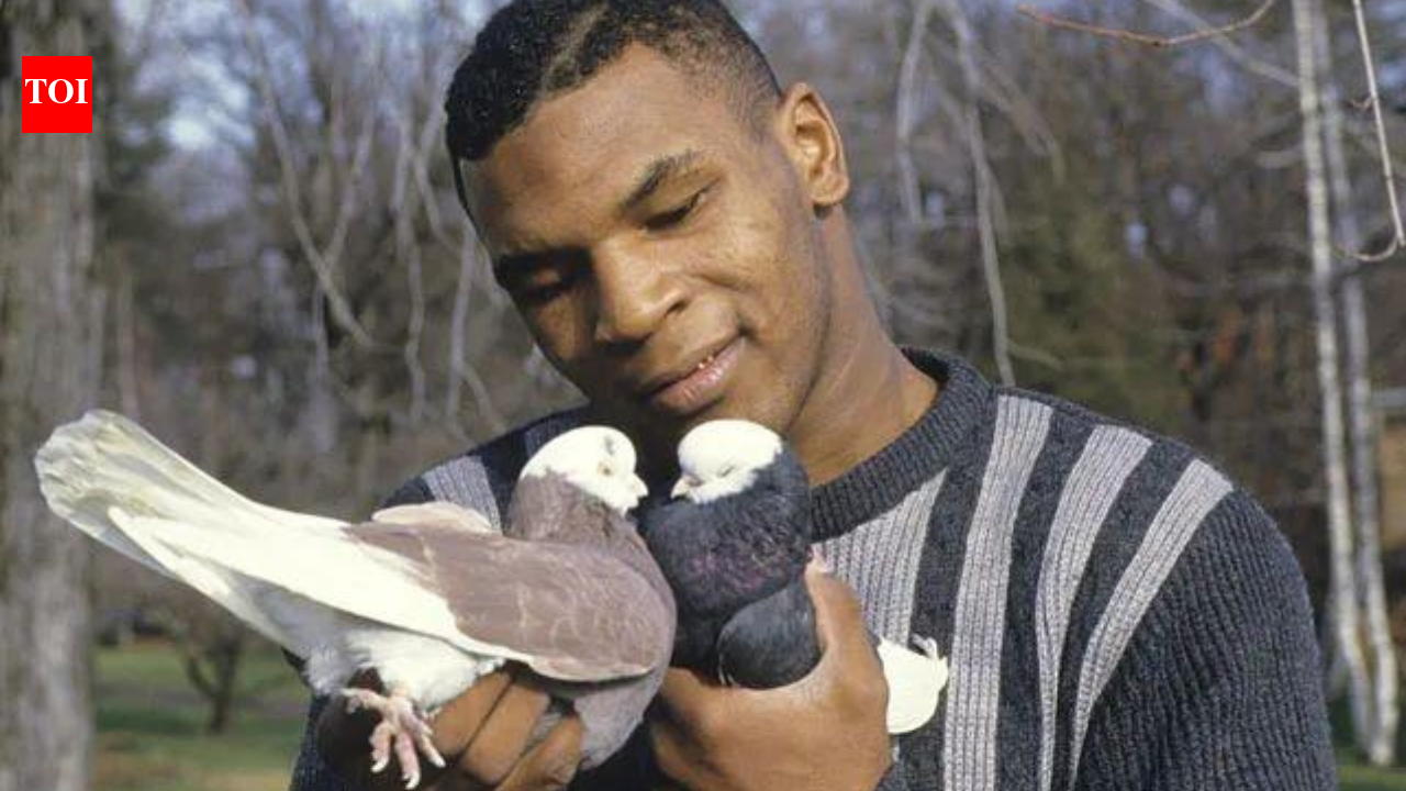 Mike Tyson kept pigeons as a bullied Brooklyn boy; decades later, he still has hundreds