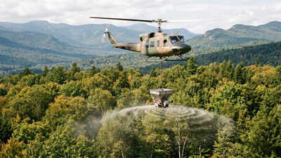 In 1999, scientists spread about 40 tons of calcium mineral over a New Hampshire forest damaged by acid rain; maple-seedling survival rose from 10.2% to 36.6%