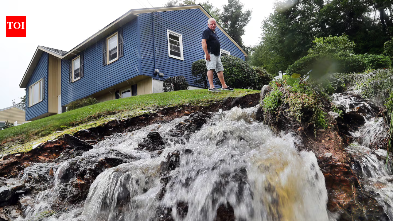In 1999, scientists dropped 45 tons of wollastonite over a 29-acre New Hampshire watershed