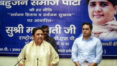 ‘Akash Anand needs to become more mature’: Mayawati rules out major BSP role for nephew