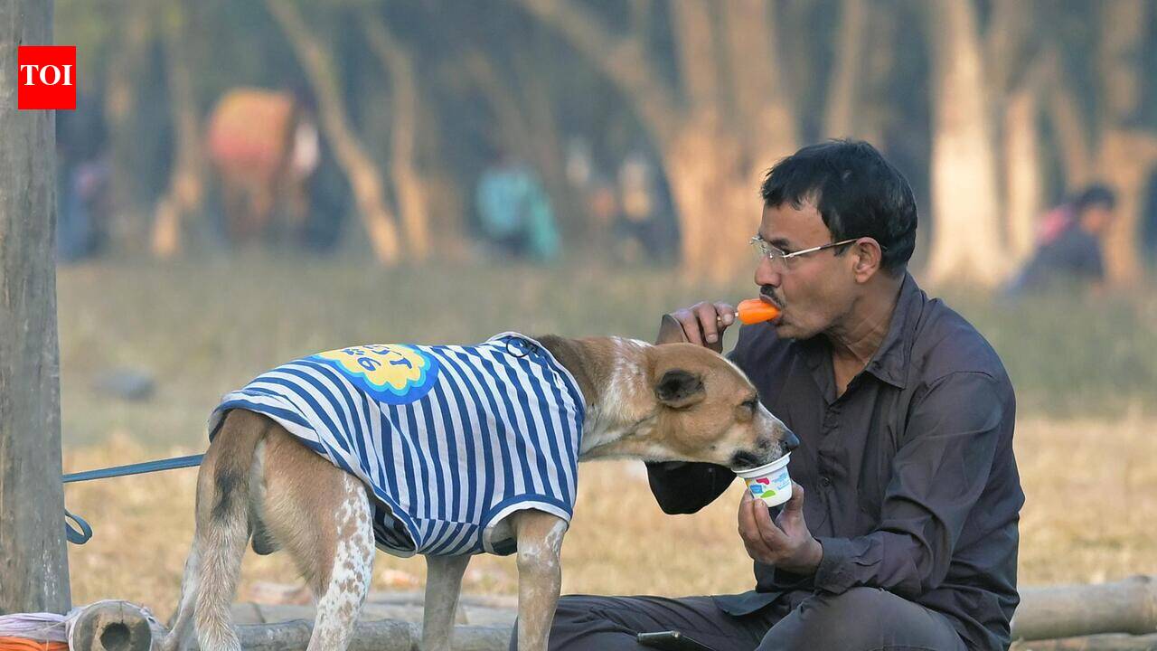 Kolkata Survey Reveals Strong Public Support for Animal Welfare Initiatives