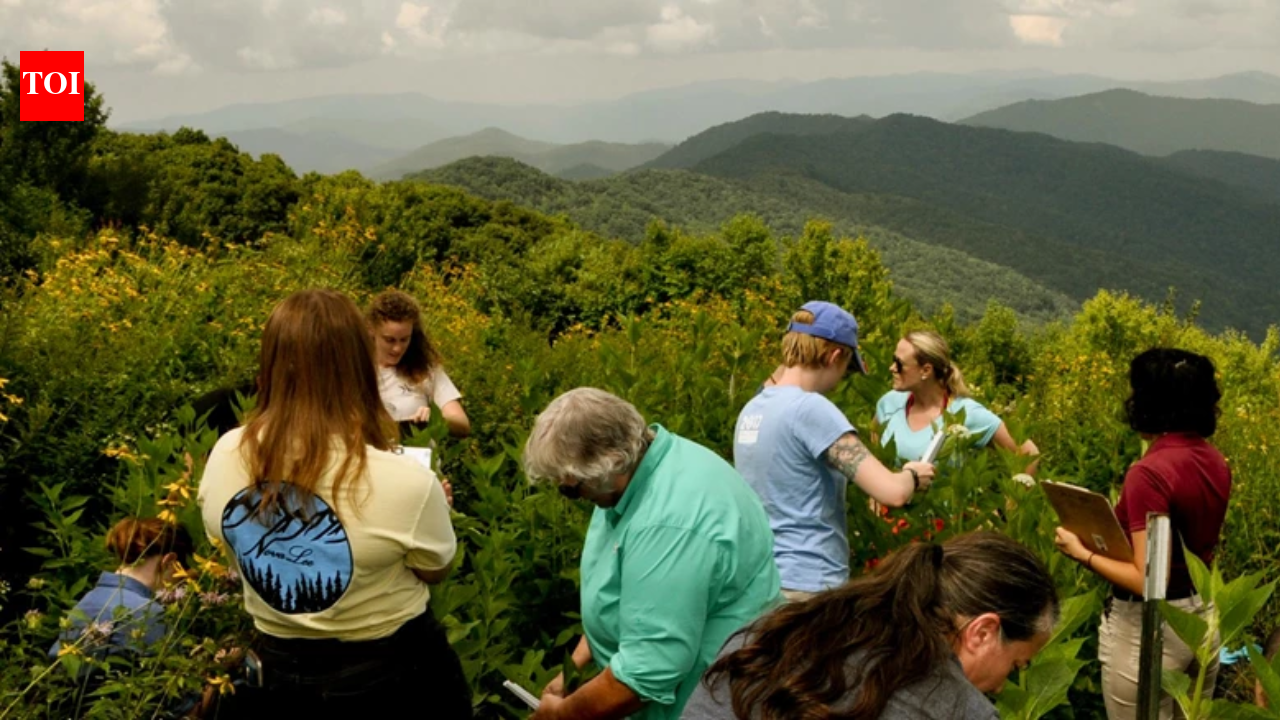 In 1964, a couple bought 535 acres in North Carolina and built a summer home there; decades later...