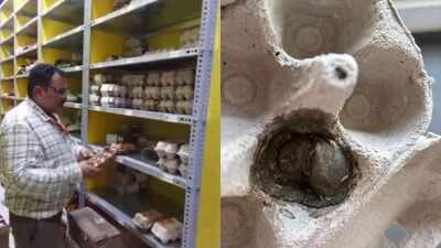 Worm found in egg bought online in Mangaluru; retail facility's storage room sealed