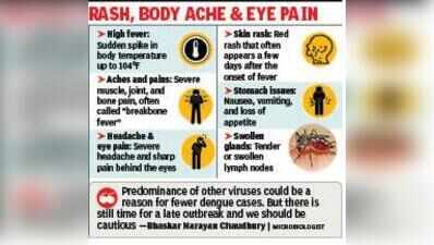 High Fever, Immune Reaction: Hosps Start Getting Serious Dengue Cases