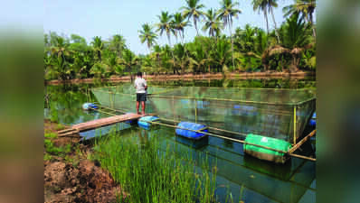 ICAR-CCARI develops AI-based water quality monitoring system for aquaculture