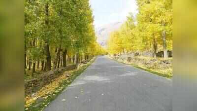 Speed limit on Kiratpur-Mandi route to be raised to 80 kmph: Himachal deputy CM after Gadkari meeting