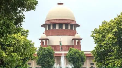 Council can seek appraisals from teachers' institues: SC