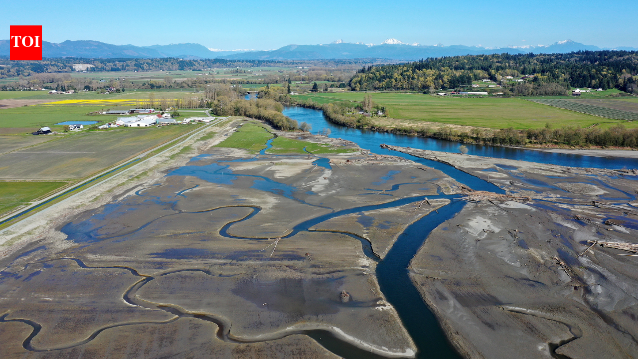 In 2009, Washington removed a century-old dike and let tides reclaim 762 acres
