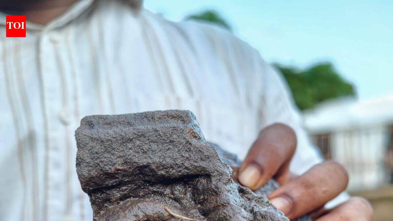 Stone relics discovered near Koti Tirtha tank at Divar