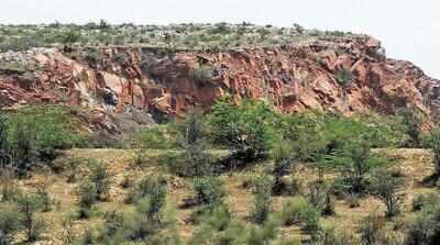 Aravalis can’t be defined by height or any single criterion: SC panel