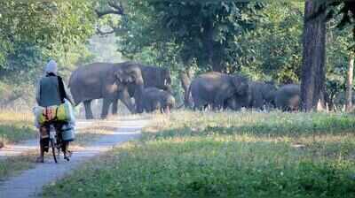 Desert National Park in Rajasthan & Sultanpur National Park in Haryana already exceed US critical-load thresholds: Study flags rising nitrogen threat to India’s national parks