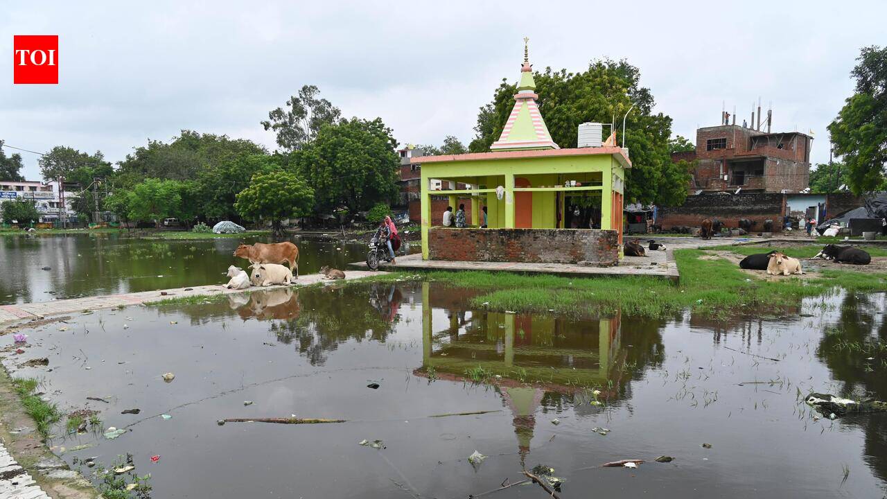 Waterlogging turns into health concern in several localities