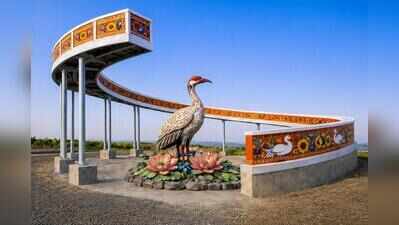 UP eco-tourism shifts focus beyond tigers to habitats, birds and wetlands