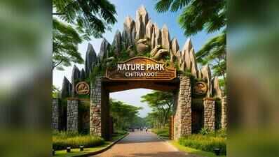 UP eco-tourism shifts focus beyond tigers to habitats, birds and wetlands