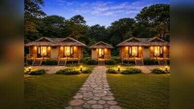 UP eco-tourism shifts focus beyond tigers to habitats, birds and wetlands