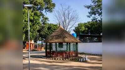 UP eco-tourism shifts focus beyond tigers to habitats, birds and wetlands