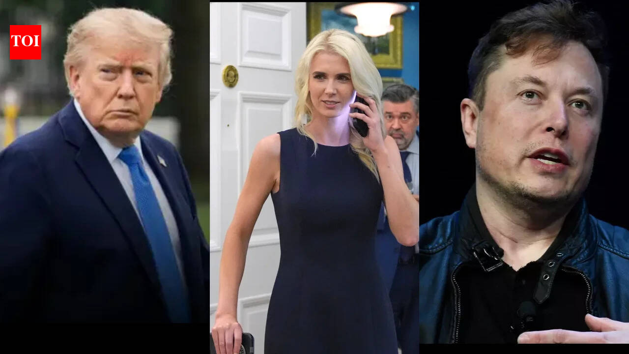 Natalie Harp came in, gave Trump a printout of Elon Musk's post: Ted Cruz reveals how Trump vs Musk unfolded in front of his eyes, like a 'hand grenade was thrown in the middle of everything'