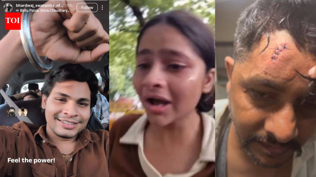 ‘Feel the power!’ Swatantra Bhardwaj's Instagram story after assaulting protester
