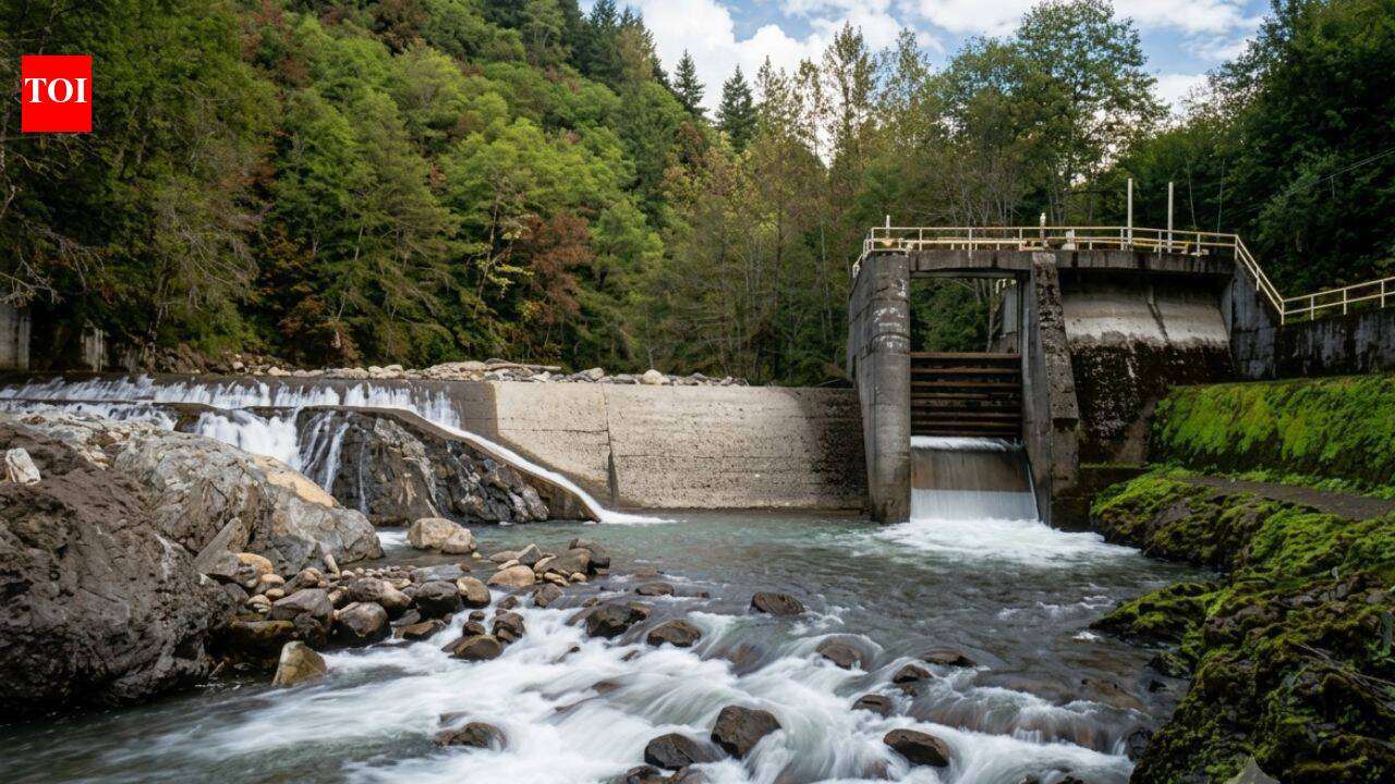 US dam removals in 2020 restored 624 miles of habitat for salmon and steelhead