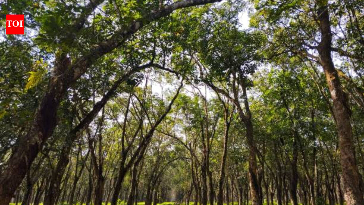 Do trees have their version of muscles? This is what scientists say