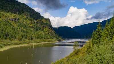 A huge forested island appeared in a British Columbia reservoir, vanished, then resurfaced 30 km away 15 days later with trees, birds and other animals still aboard