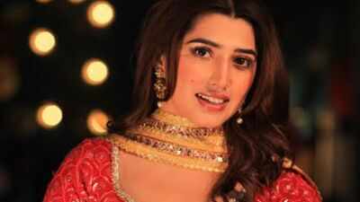 Bigg Boss 20: From Karan Aujla’s music video debut to Punjabi films; all about the reality show contestant Love Gill