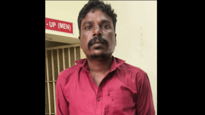 Sacked cook’s husband held for instigating girl to mix chemical dye in sambar prepared in TN school