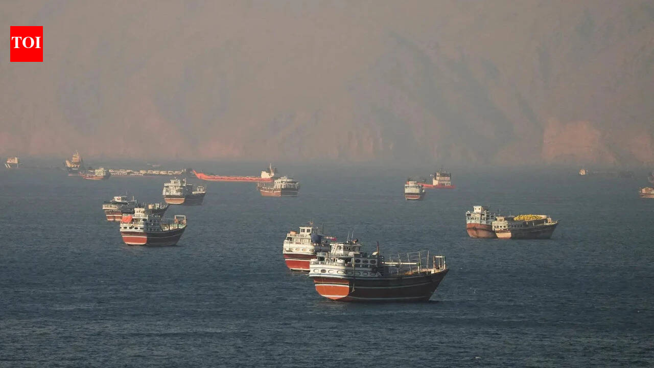 Oman says no to Iranian toll plan for Strait of Hormuz: Report