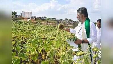 Drought list may double as Karnataka reels under rain deficit