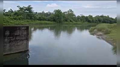 Crocs spotted in Longa River, panic grips villages in Dotma