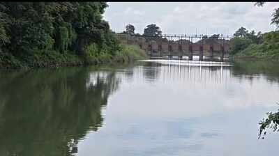Crocs spotted in Longa River, panic grips villages in Dotma